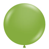 17 inch fiona dark sage green latex balloons by Tuftex