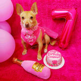 Small number balloons shown in pink 7 with birthday girl dog with cake