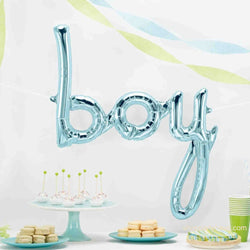 pastel blue boy balloon in script font 