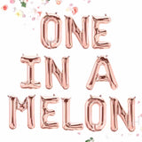 One In A Melon Birthday Balloons | Silver | Gold | Rose Gold | Pink | Blue