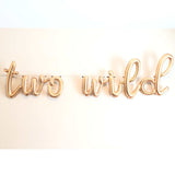 TWO WILD Balloon Banner | Silver | Gold | Rose Gold